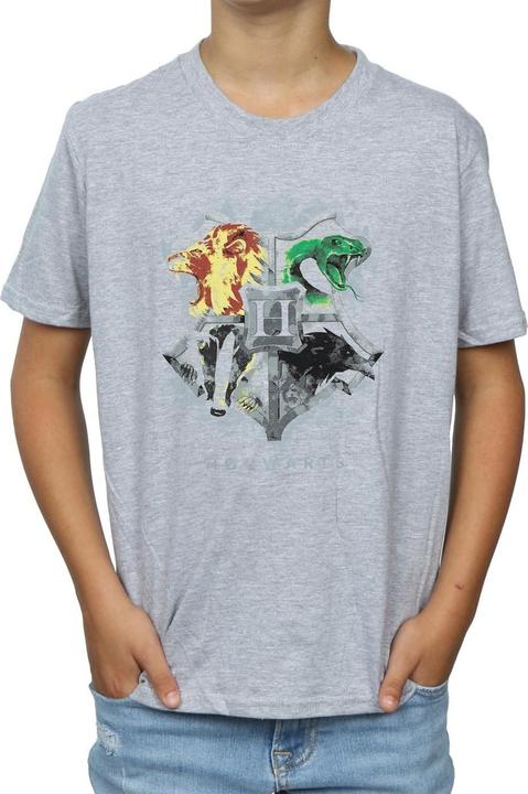 Actual product image Boys Hogwarts Painted Crest T-Shirt (140, 146)