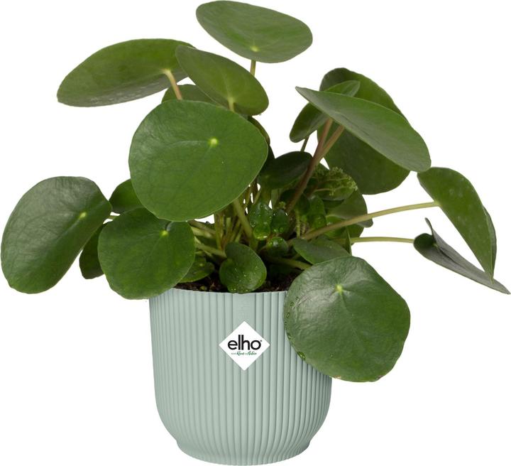 Produktbild Elho Vibes Fold Rund Mini (9.30 cm)