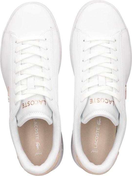 Image du produit Lacoste 4260850 (41)