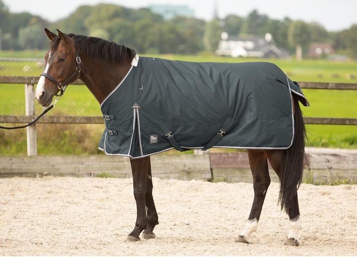 Produktbild Harry's Horse Thor 300