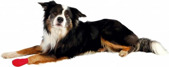Image du produit Trixie Bandages (Chien)