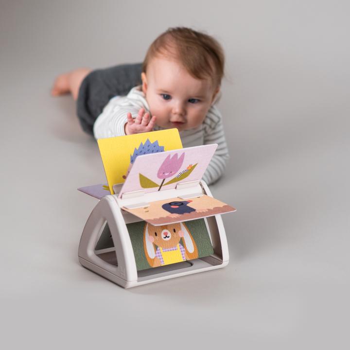 Image du produit Taf Toys Pivotant (Allemand, Français, Italien, Anglais)