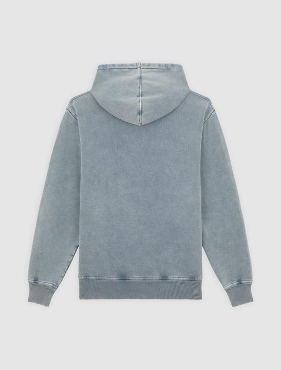 Immagine prodotto Dickies Plentywood Hoodie Stormy Weather (M)