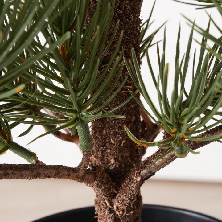 Produktbild Boltze Home Dekobaum (68 cm)