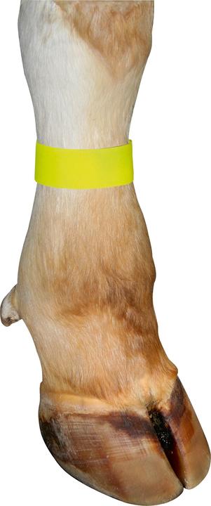Produktbild Markierungsbänder für Kühe, mit Klettverschluss, Farbe gelb, 10er Pack