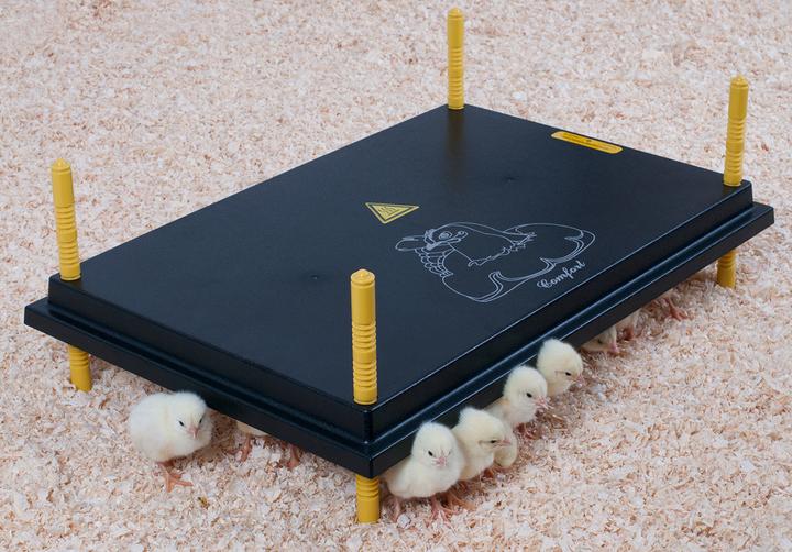 Actual product image Olba Comfort