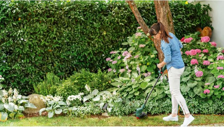 Actual product image Bosch Home & Garden Easy Grass Cut 23 (Trim line)