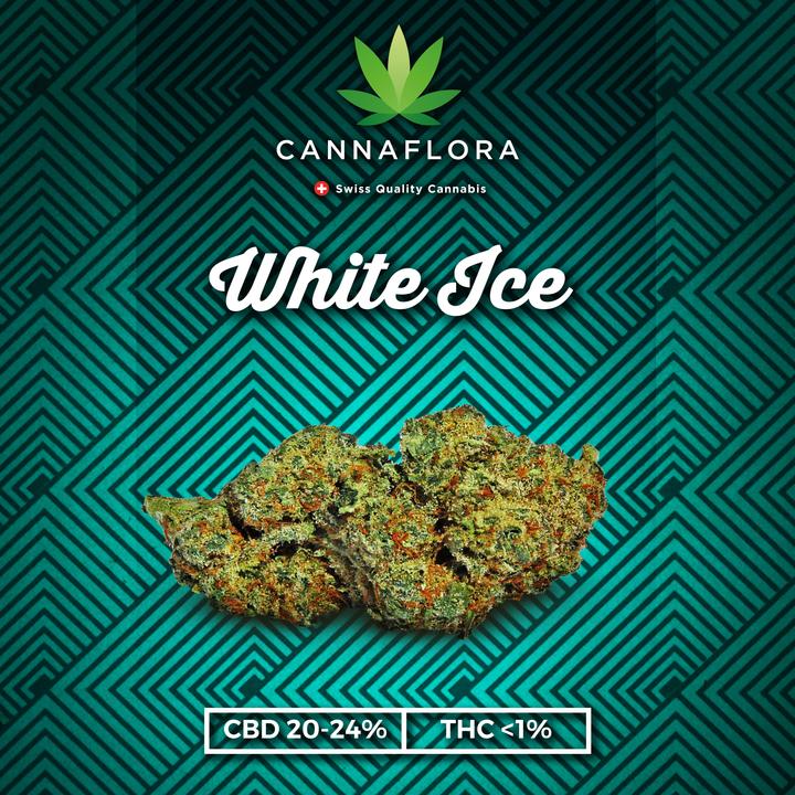 Actual product image Cannaflora white ice (6.50 g, Indoor)
