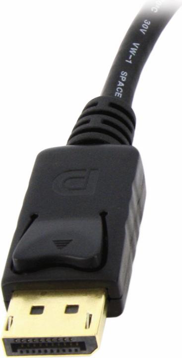Image du produit StarTech DisplayPort fermé (DVI, 25.40 cm)