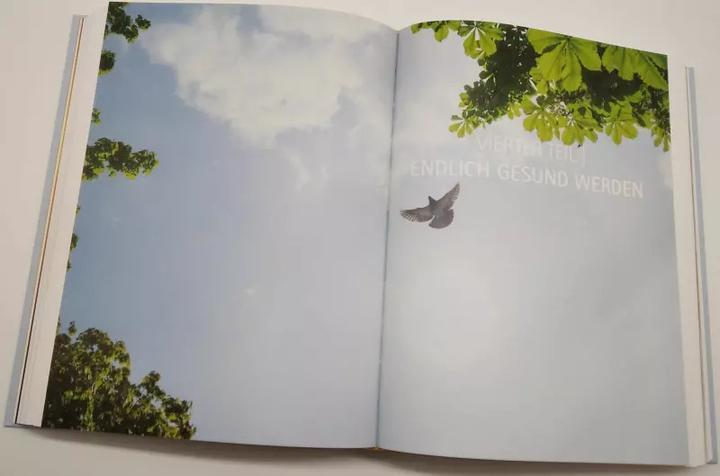 Image du produit Mediale Medizin (Allemand, Anthony William, 2022)
