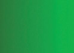 Image du produit Caran d'Ache Gouache Eco (Jaune-vert, 500 ml)