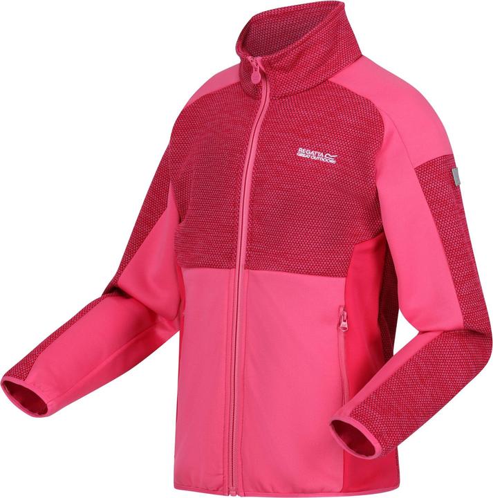 Image du produit Regatta - Veste polaire HIGHTON - Enfant (164)