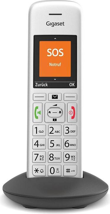 Actual product image Gigaset E390 HX CAT-iq