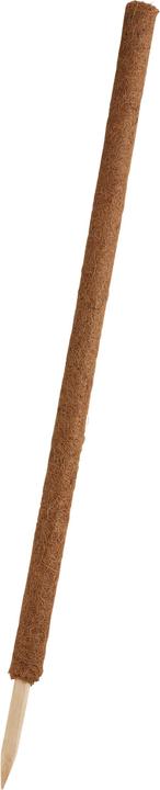 Image du produit Windhager Bâton de plante noix de coco (110 cm, 4.50 cm)