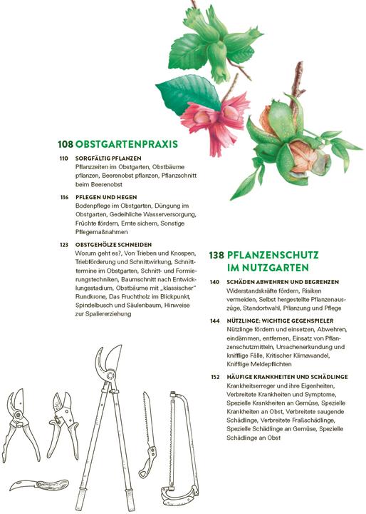 Immagine prodotto Das grosse Gemüse- und Obstgartenbuch (Tedesco, Gioacchino Mayer, 2025)