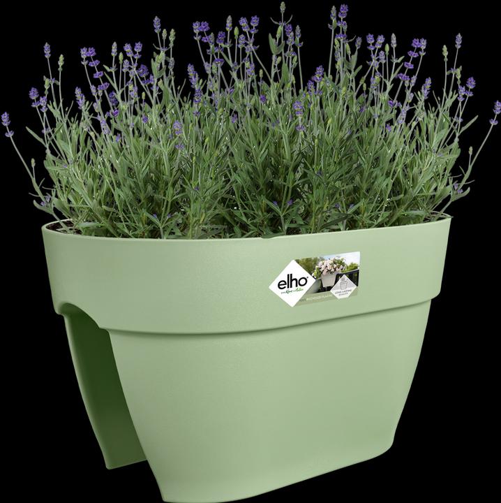Image du produit Elho Vibia Campana Flower Bridge (26 cm)
