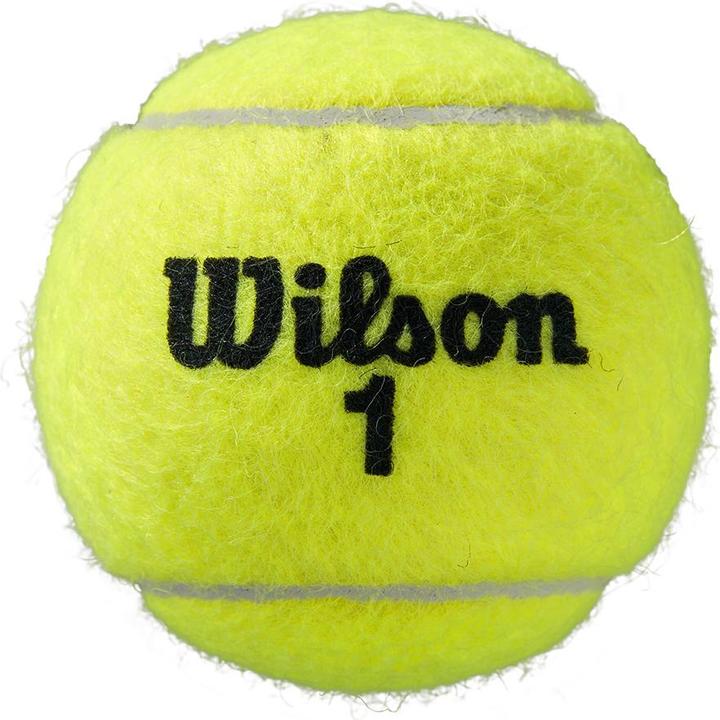 Produktbild Wilson Roland Garros All Ct 4ball 2pk