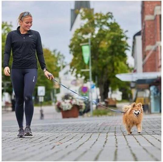 Produktbild Non-Stop Dogwear Move Leash Lila L (L, Hund, Allgemein, Arbeit, Fahrrad, Hundesport)