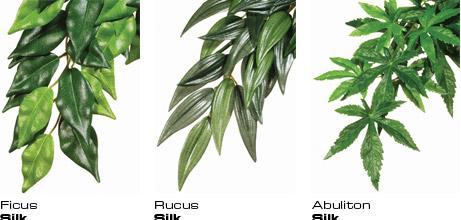 Actual product image Exo Terra Jungle Plant Abutilon M