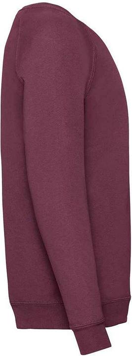 Actual product image Fruit of the Loom Childrens/Kids Classic Raglan Sweatshirt (116)