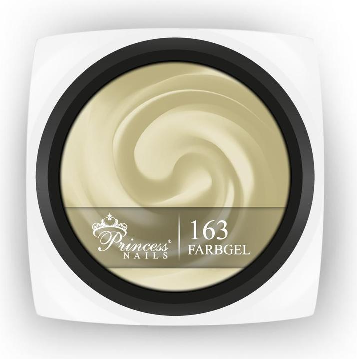 PrincessNails Farbgel 163