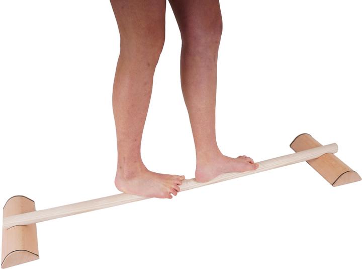 Actual product image Pedalo Balance Trainer Challenger Single