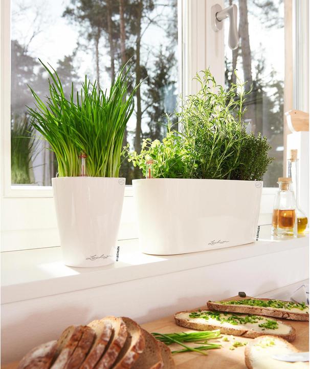 Produktbild Lechuza Mini Deltini (10 cm)