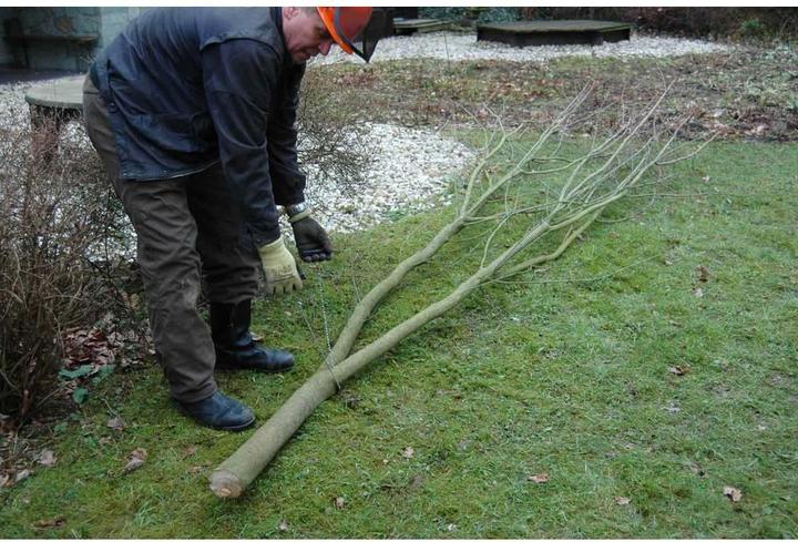 Actual product image RoNa Hand chainsaw Standard Plus-