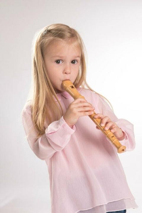 Actual product image Boogie Bee Recorder (German)