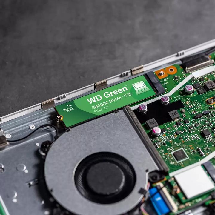 Actual product image WD Green SN3000 (500 GB, M.2 2280)