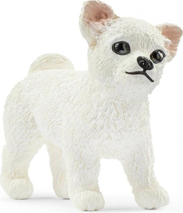 Image du produit Schleich 42467 Carrosse pour spectacle équestre