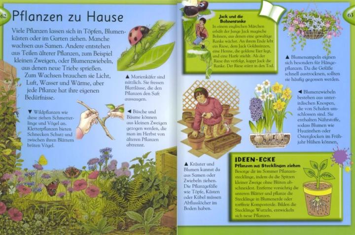 Produktbild Das grosse Kinderlexikon Grundschulwissen (Deutsch, Philip Steele, Deborah Chancellor, Barbara Taylor, 2009)