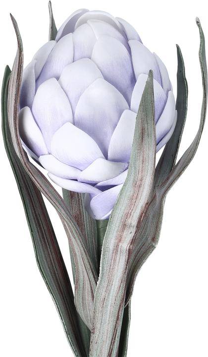 Image du produit EGLO LIVING Molave (15 cm)