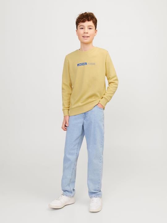 Produktbild Jack & Jones Gedruckt Sweatshirt mit Rundhals Für jungs Sweatshirt mit Rundhals (140)