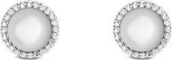 Immagine prodotto Daniel Wellington Elegant Stud Earrings With Mother-Of-Pearl And Crystals Audrey Dw00401417 (Perle)
