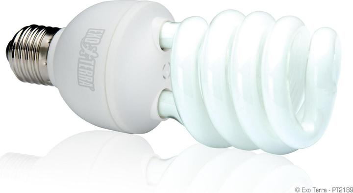 Actual product image Exo Terra Compact fluorescent tube Repti Glo 10.0 26W (UVB)