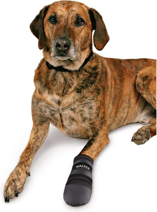 Actual product image Trixie Paw protection Walker Care (3XL, Dog boots)