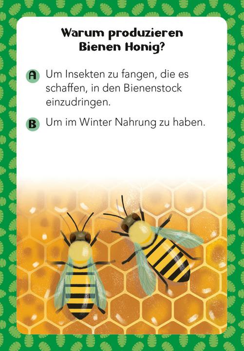 Immagine prodotto National Geographic Quiz sugli animali. 100 domande sugli animali per gli appassionati di quiz e gli amanti degli (Tedesco)