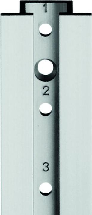 Actual product image Aweso Actuator rails 1010 type 1, for light loads (1 pcs.)