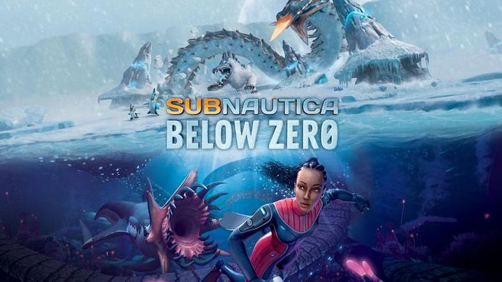 Actual product image Bandai Namco Subnautica Below Zero (PS4, EN)