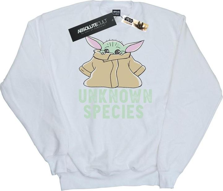 Star Wars The Mandalorian Unknown Species Sweatshirt