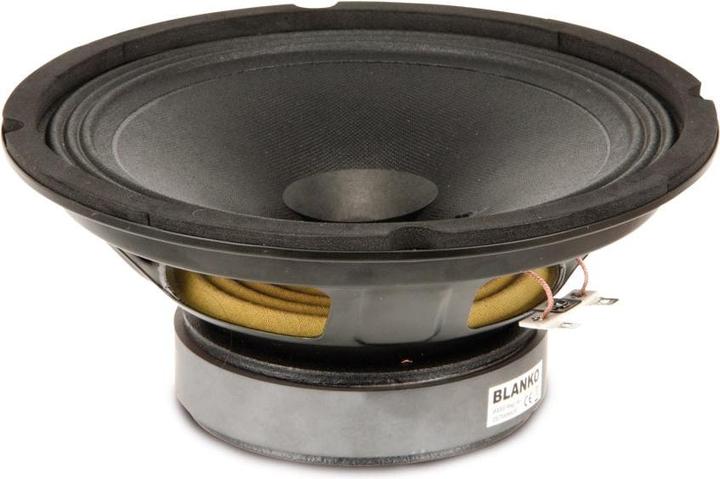 Actual product image Rockwood BLANKO PA Bass Fullrange 200 mm Guitar Speaker