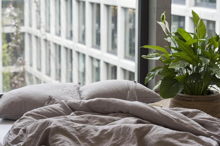 Actual product image lavie Linus (Pillowcase, 50 x 70 cm)