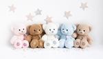 Image du produit Histoire D'ours Charms (24 cm)
