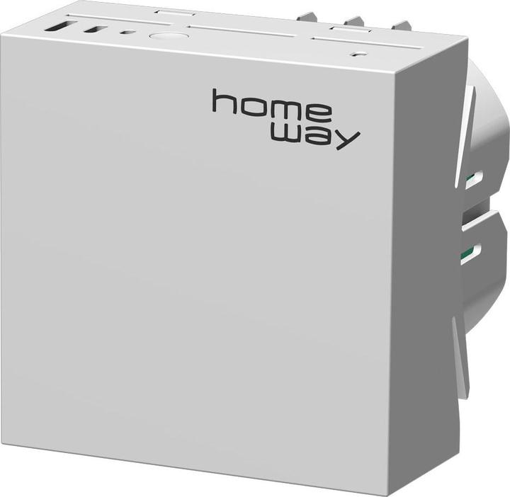 Homeway Module LAN/Mesh (573 Mbit/s)