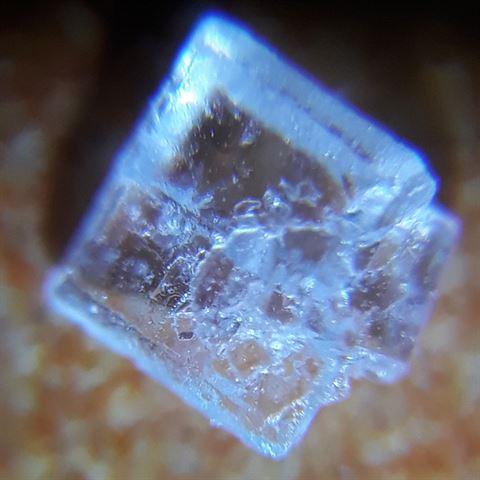 Immagine prodotto Konus Clip a cono per microscopio 60x-100x