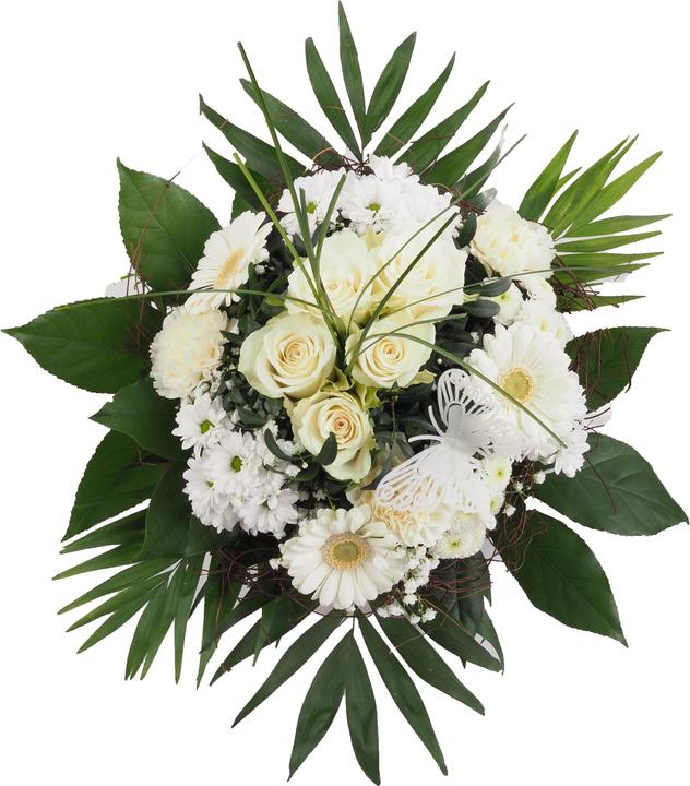 Bianco
