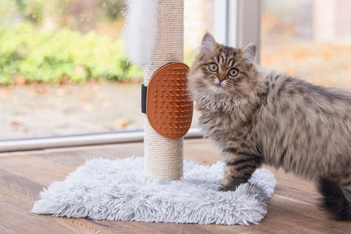 Immagine prodotto Beeztees Pflegehandschuh (Gatto)