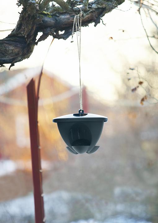 Actual product image Orthex Bird Feeder 'Birdie