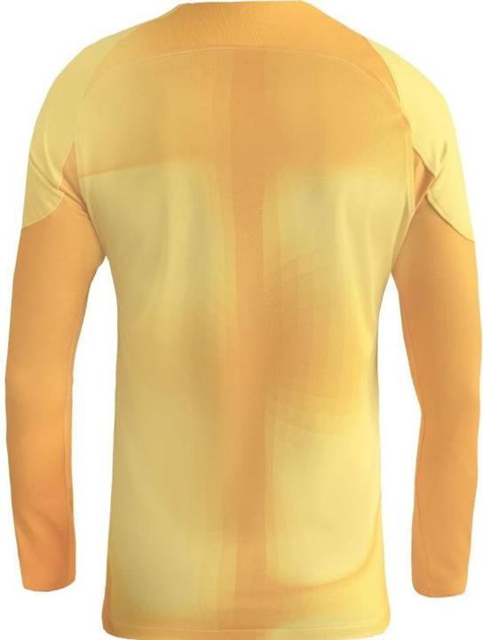 Actual product image Nike Mens Jersey M Nk Dfadv Gardien Iv Gk Jsyls, Tour Yellow/University Gold/Black, DH7967-719, L (L)